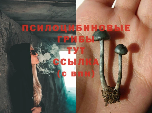 apvp Алексин
