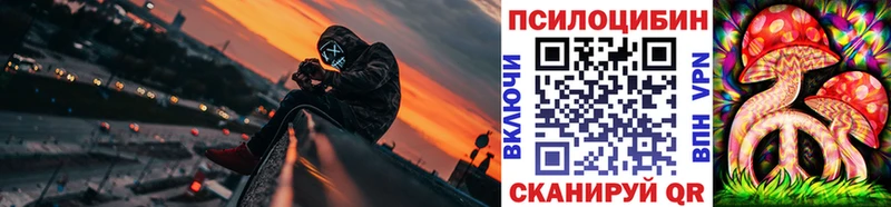 Псилоцибиновые грибы Cubensis  Сенгилей 