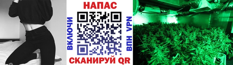 Бошки Шишки гибрид Сенгилей